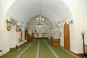 Image description
